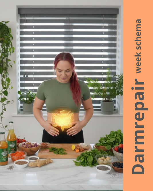 Darmrepair Mini E-book | 7 dagen je darmen herstellen met voeding